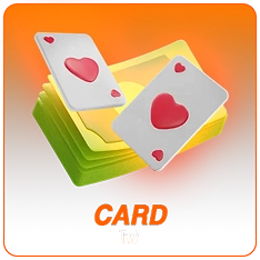 WIN8S Card